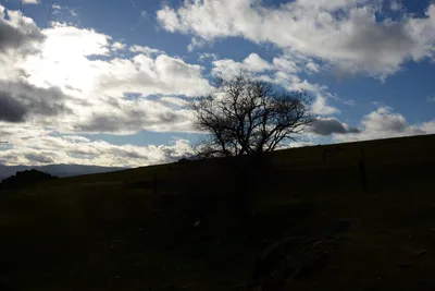 DSC_1030 (Large).JPG